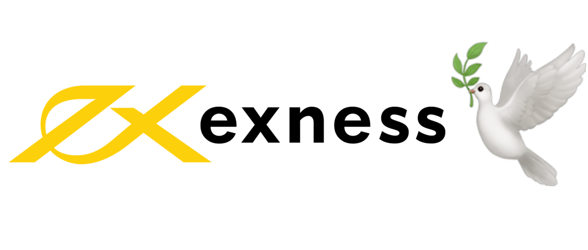 Common Causes of Exness Login Error and How to Fix Them