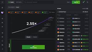 Comprehensive Guide to Payment Methods BC Game 1