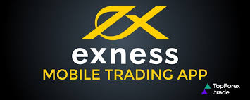 Maximize Your Trading Potential with Exness on Mobile