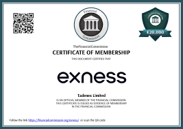 Step-by-Step Guide Exness Metatrader 4 Setup for Effective Trading