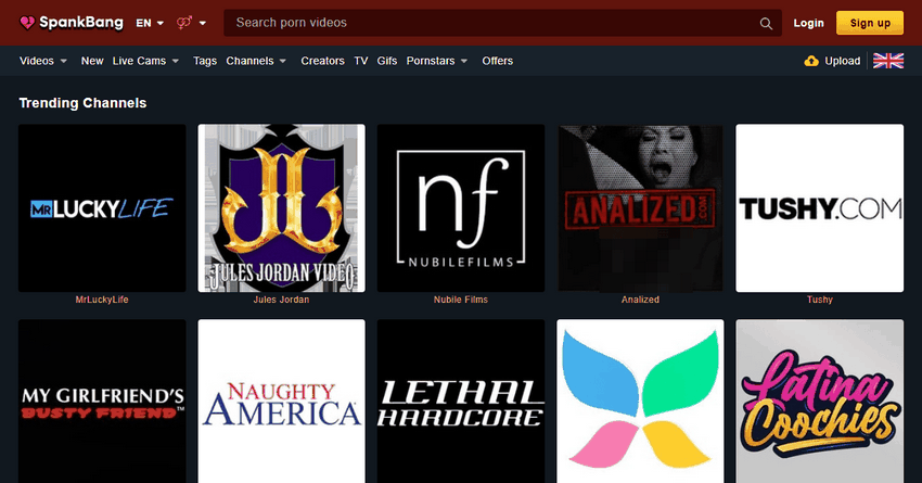 Testimonial Their Work on Ethical Porn Evaluation Sites