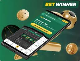 BetWinner in France Your Guide to Online Betting