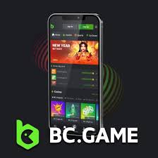 Exploring BC Game A New Era of Online Gaming in India