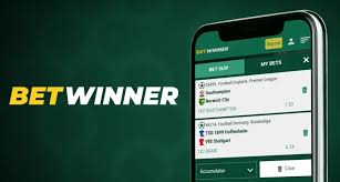 BetWinner Sportsbook Your Ultimate Guide to Online Betting BetWinner Sportsbook Your Ultimate Guide to Online Betting
