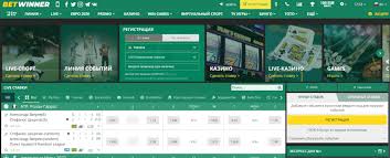 Comprehensive Guide to BetWinner Senegal Bonus Details -820528026 Comprehensive Guide to BetWinner Senegal Bonus Details -820528026